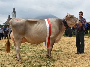 Miss Schwyz einzeln
